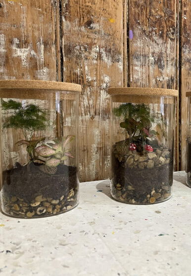 terrarium glass jar