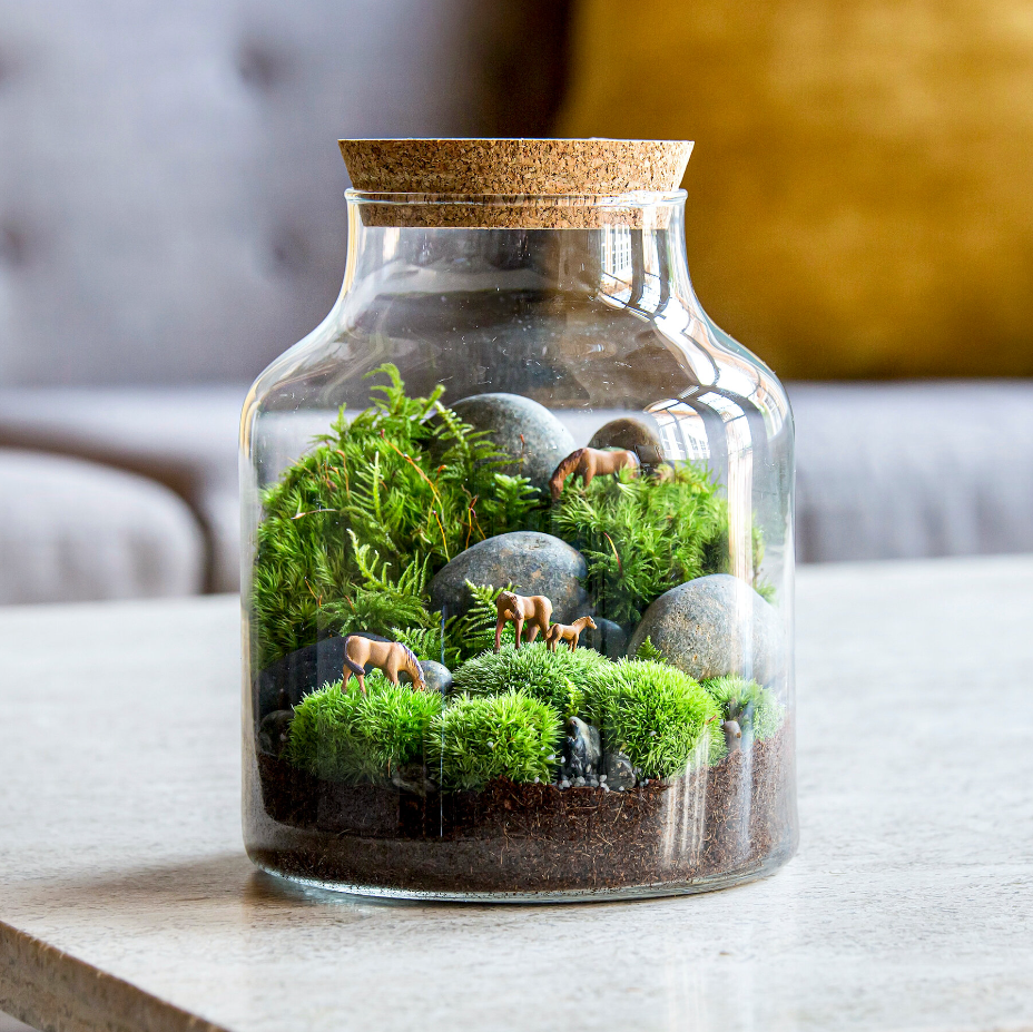 terrarium glass jar