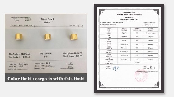 Pre-shipment Inspection System